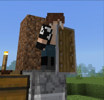 Minecraft skin // in game