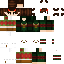 Minecraft skin // 1